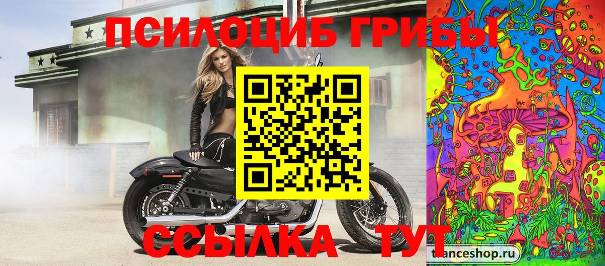 Псилоцибиновые грибы MAGIC MUSHROOMS Армавир
